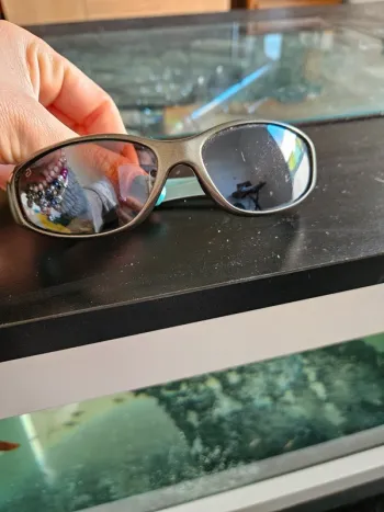 Lunettes de soleil