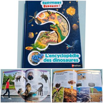 Questions ? Reponses! L'encyclopédie des dinosaures