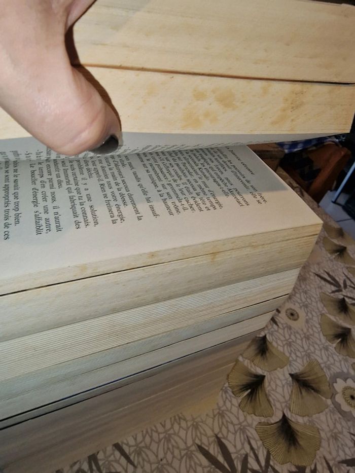 Saga les chevaliers d'émeraude intégrale en grand format - photo numéro 7