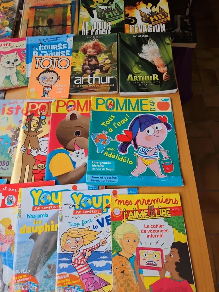 Lot 16 livres + 11 magazines - photo numéro 5