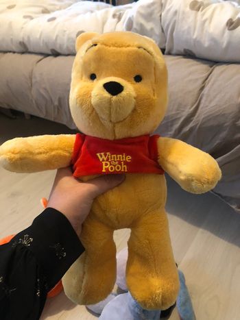 Peluche winnie