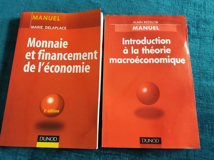 Lot de 2 manuels éd. Dunod Monnaie et financement de l'économie et la théorie macroéconomique