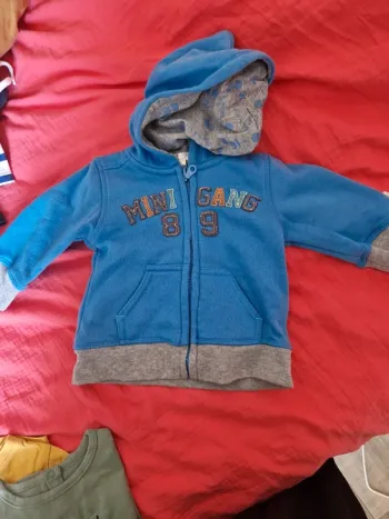 Veste