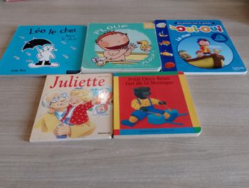 Lot de 5 livres cartonnés, divers (8)