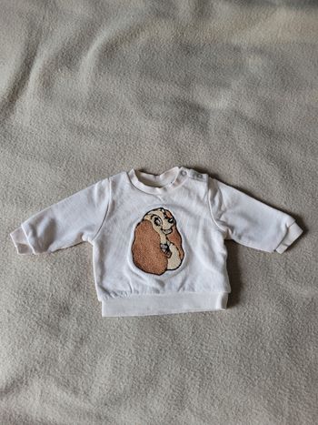 Pull 1 mois disney