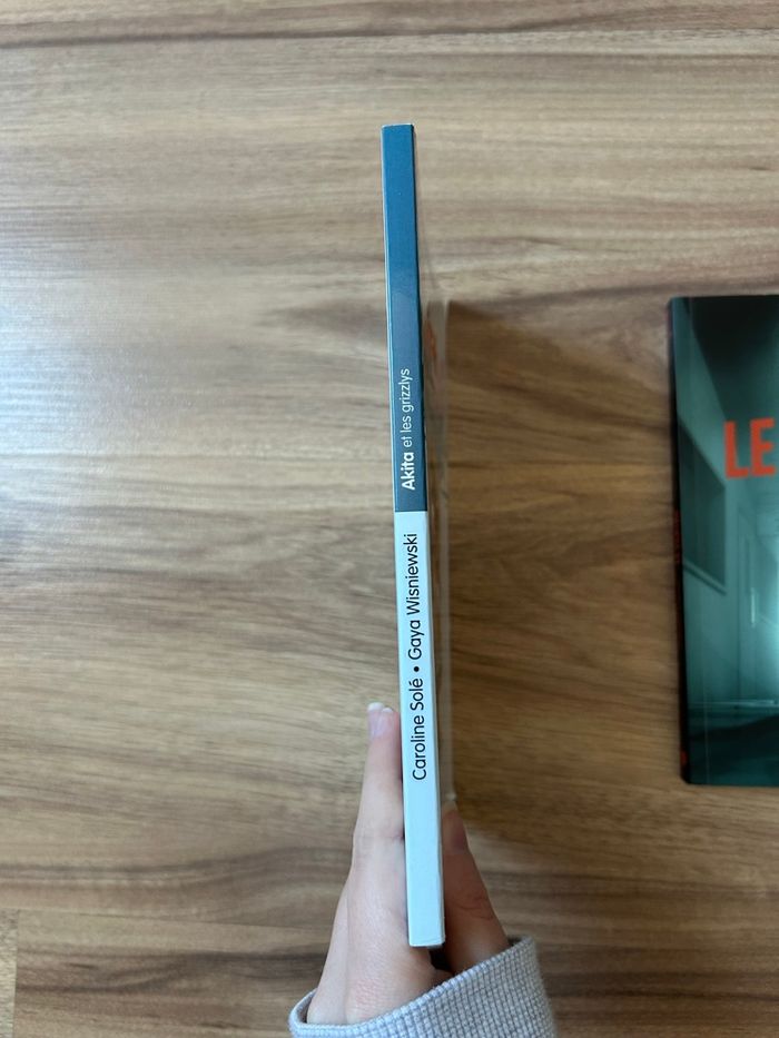 Lot de 2 Livres Jeunesse Akita et Le Centre - photo numéro 3