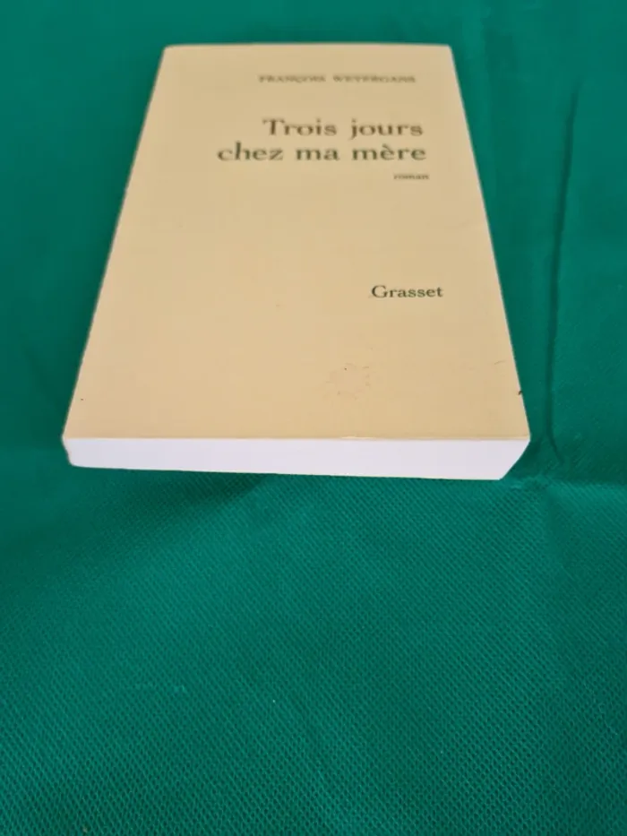 Trois jours chez ma mère François Weyergans - photo numéro 2