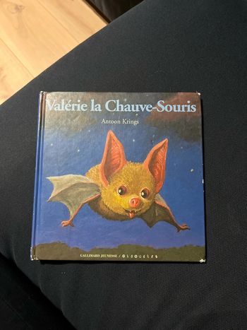 Livre pour enfants antoon krings Valérie la chauve souris