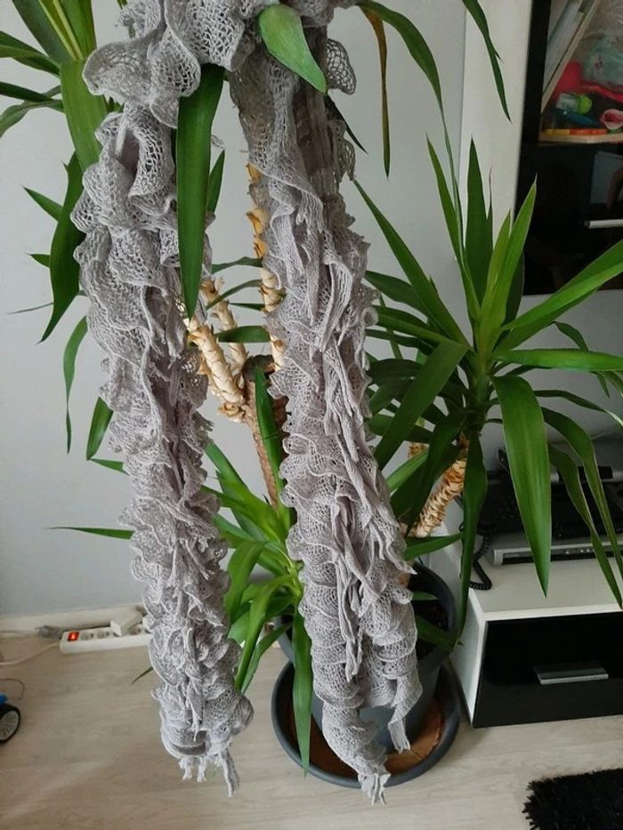 Écharpe - photo numéro 2