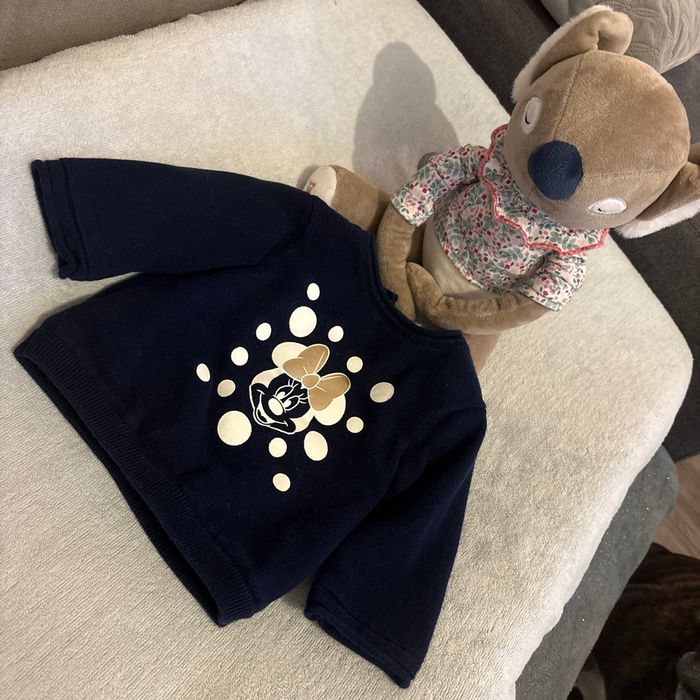 Pull polaire