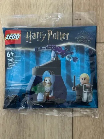 LEGO 30677 : Drago dans la Forêt interdite
