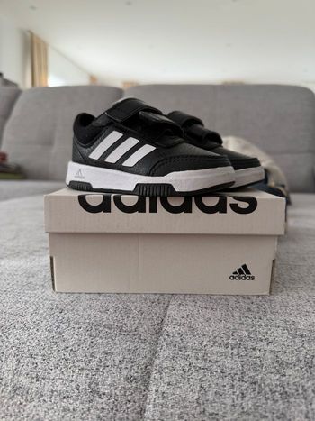 Basket Adidas 