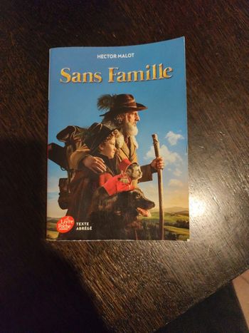 Sans famille