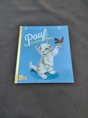 Pouf le chaton bleu