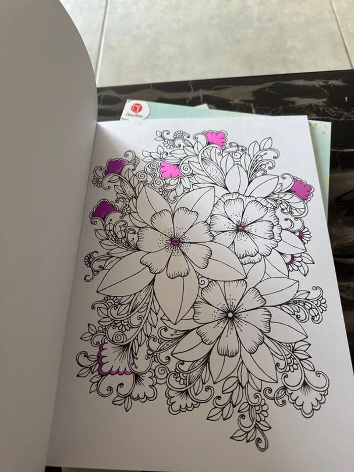 Lot cahier de coloriage - photo numéro 13