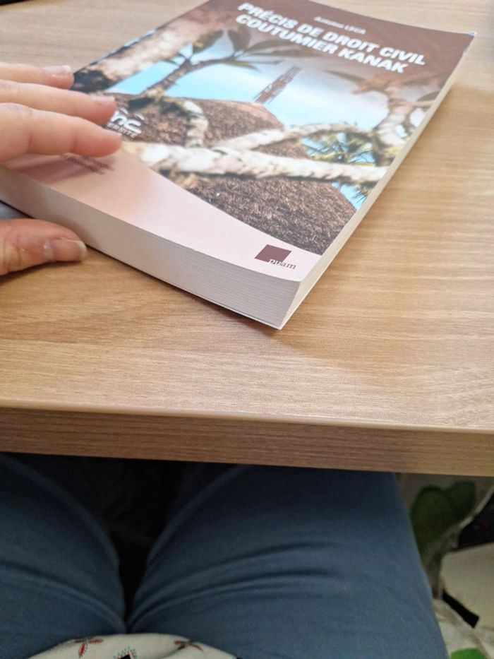 Précis de droit civil coutumier kank - photo numéro 4