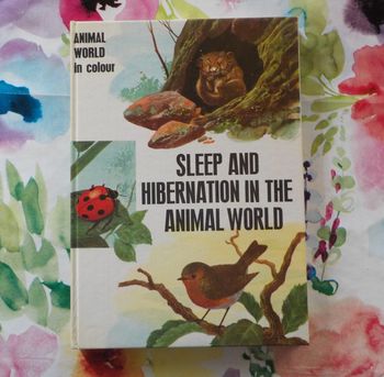 Sleep and hibernation in the animal world Animal world in colour M. Burton