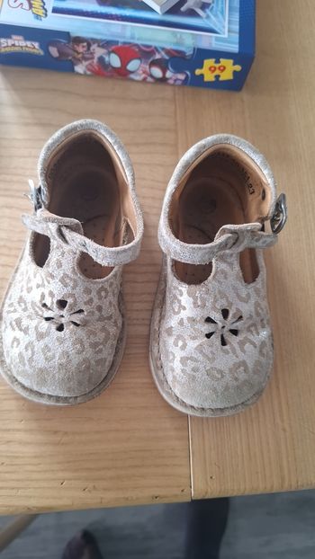 Chaussures aster
