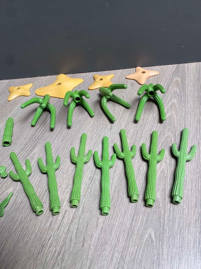 Lot de cactus - photo numéro 5