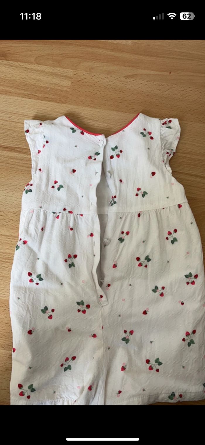 Barboteuse sergent major - photo numéro 4