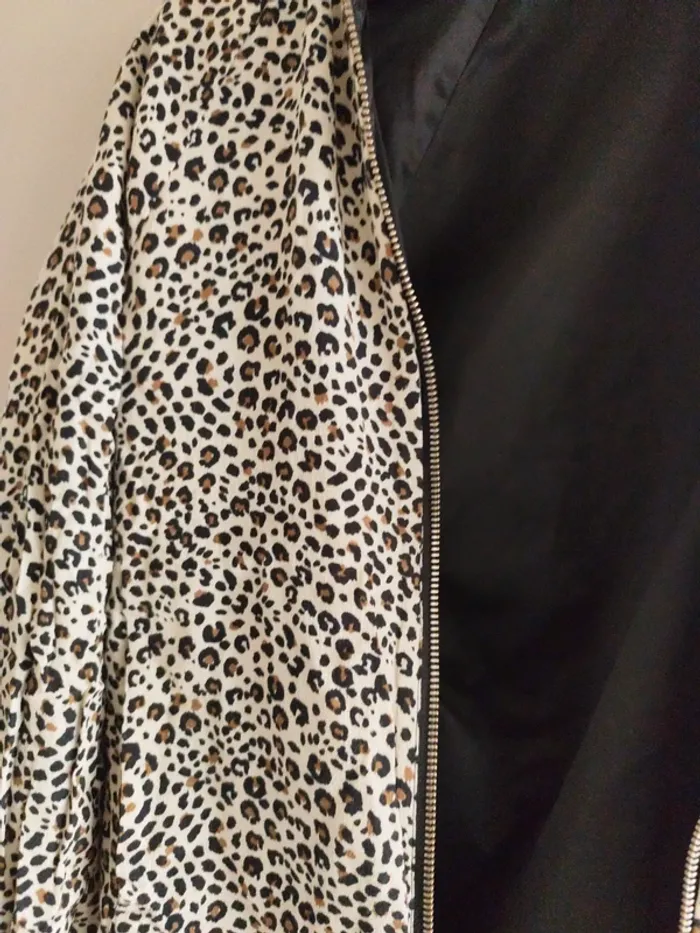 Veste ikks - photo numéro 11