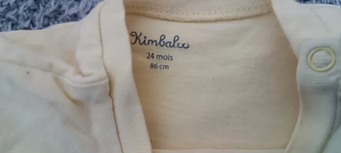 Lot 5 t-shirts MC 24 mois (+2 offerts 🎁) - photo numéro 13