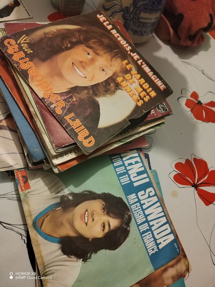 Vinyle des plus belle - photo numéro 2