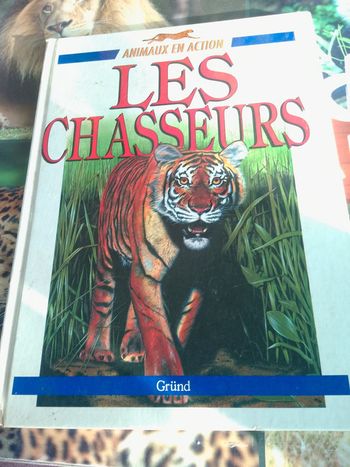 Les chasseurs