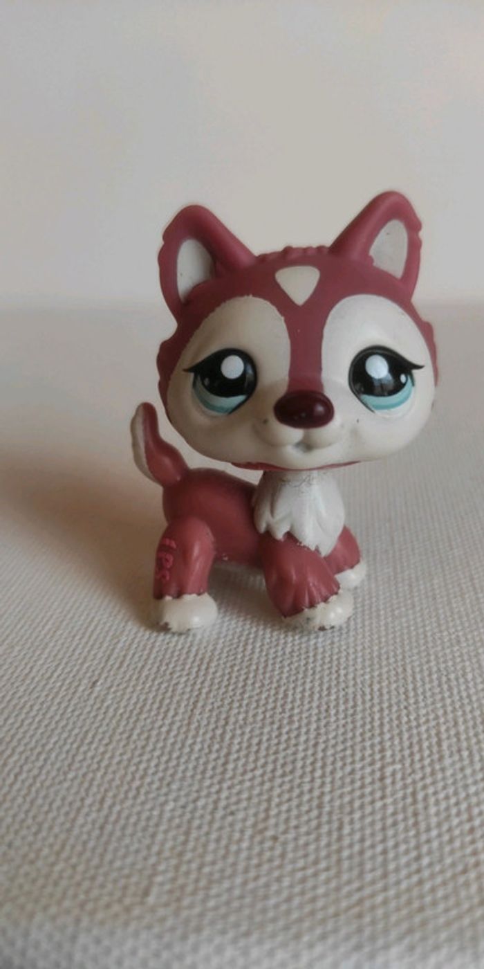My littlest petshop chien lps husky 1793