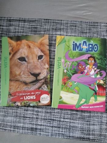 Lot de 2 livres bibliothèque verte neuf