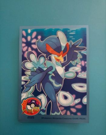 1 sleeve pokemon cn