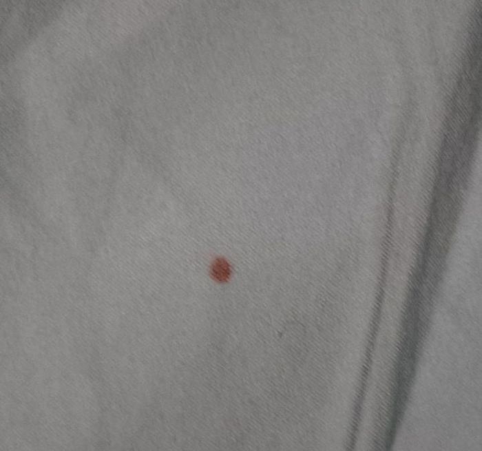 Pantacourt fille - photo numéro 3