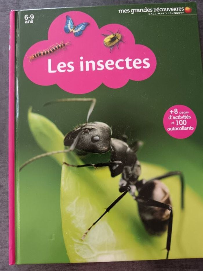Livre "insectes"
