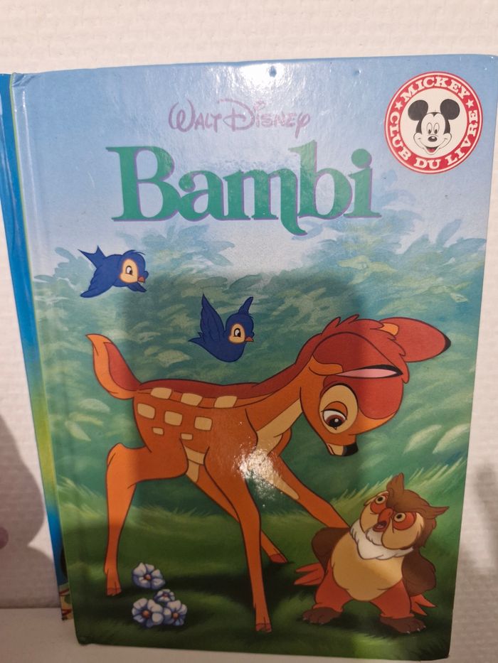 Livre - photo numéro 6