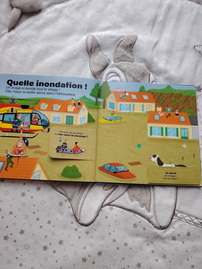 Livre pompier - photo numéro 7