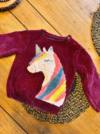 Pull licorne