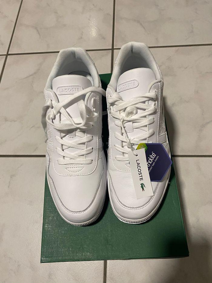 Sneakers  Lacoste originale
