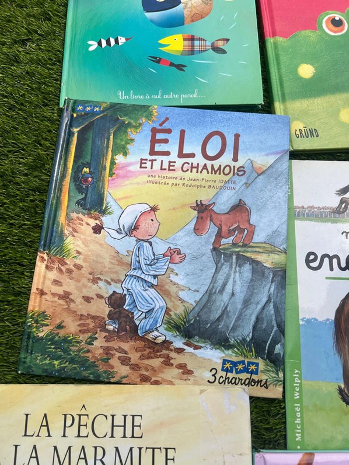 Gros lot de livres divers ( pas de vinted go ) - photo numéro 17