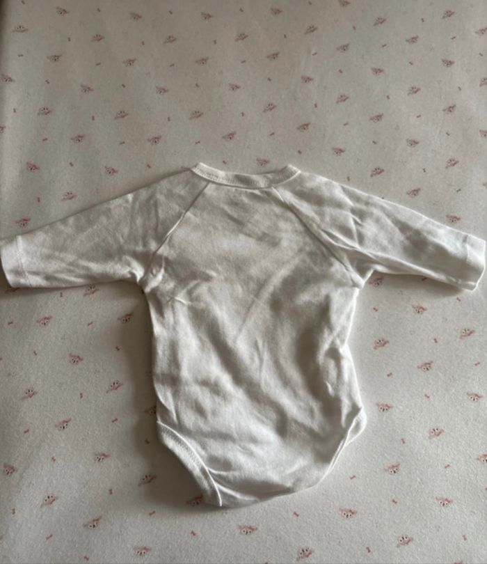 Lot bodies - photo numéro 3