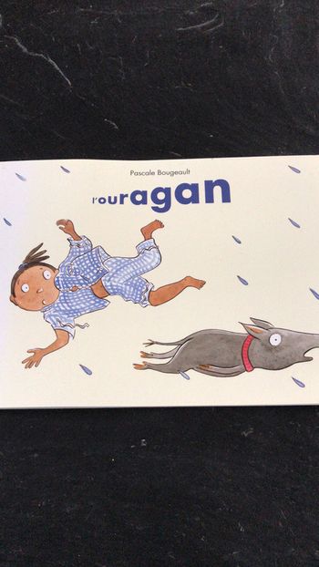 Livre L’ouragan de Pascale Bougeault