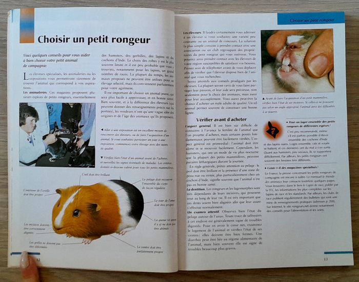 votre petit rongeur, le comprendre, le nourrir, le soigner, connaître les espèces - photo numéro 6
