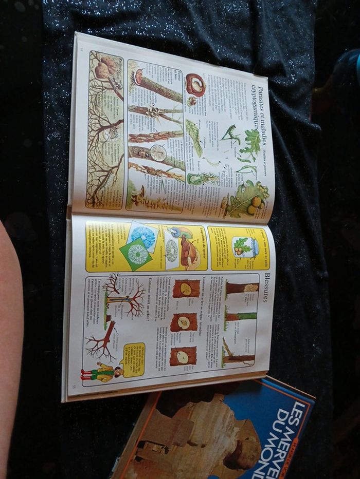 Livre enfants j'observe la nature - photo numéro 5