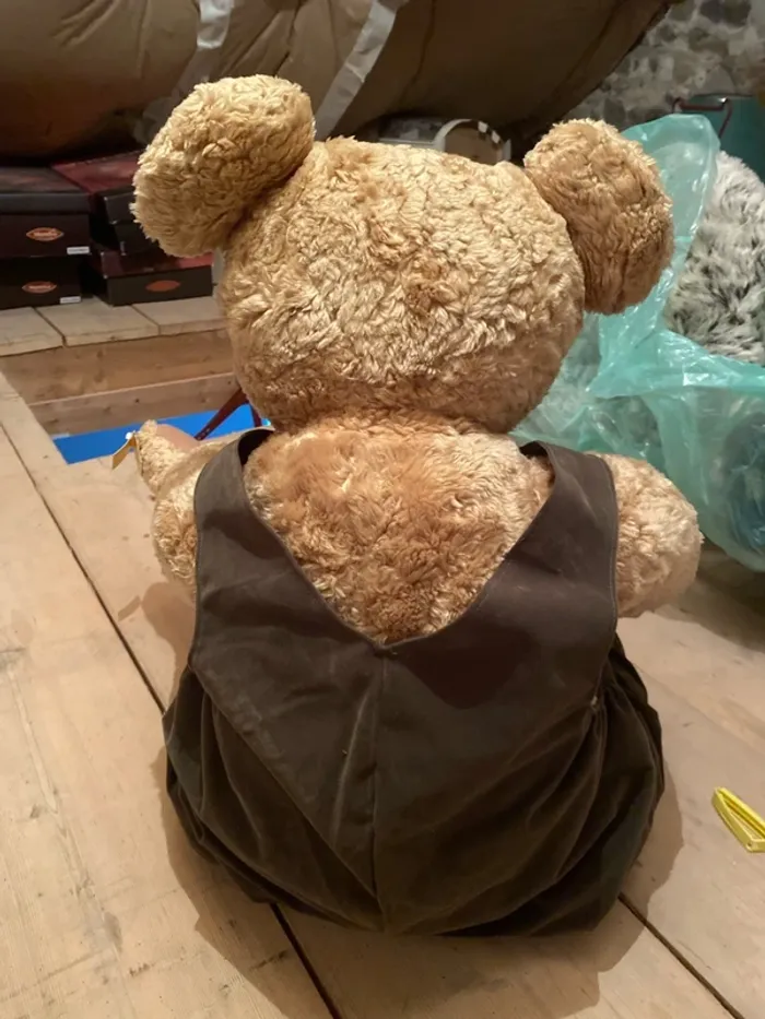 Ours géant sunkid - photo numéro 2