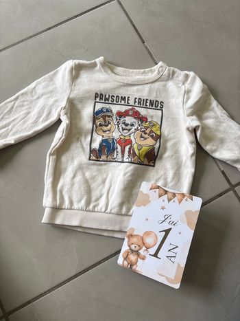 Pull 12 mois