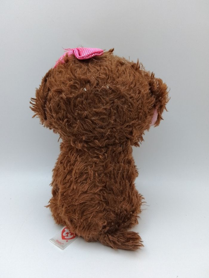 Chien ty - photo numéro 2