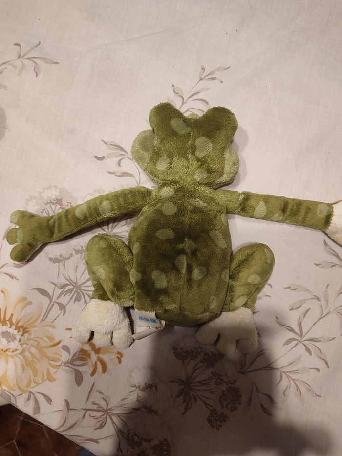 Grenouille - photo numéro 3