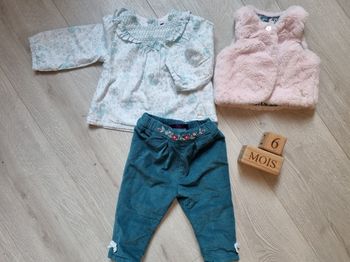 Ensemble cygne hiver