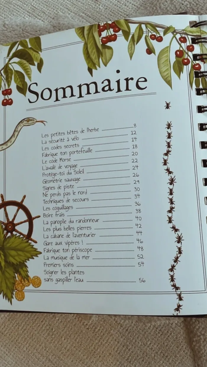 Le Boys’ Book des petits aventuriers - Éditions Larousse - photo numéro 3