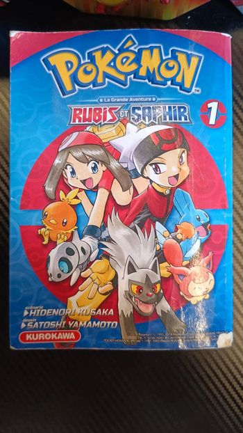 Manga pokémon rubis et saphir