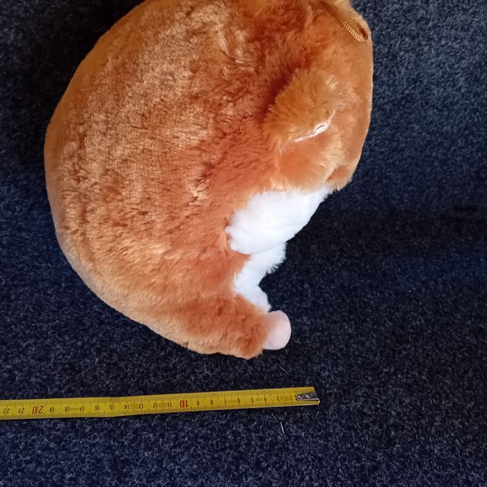 Peluche - photo numéro 6